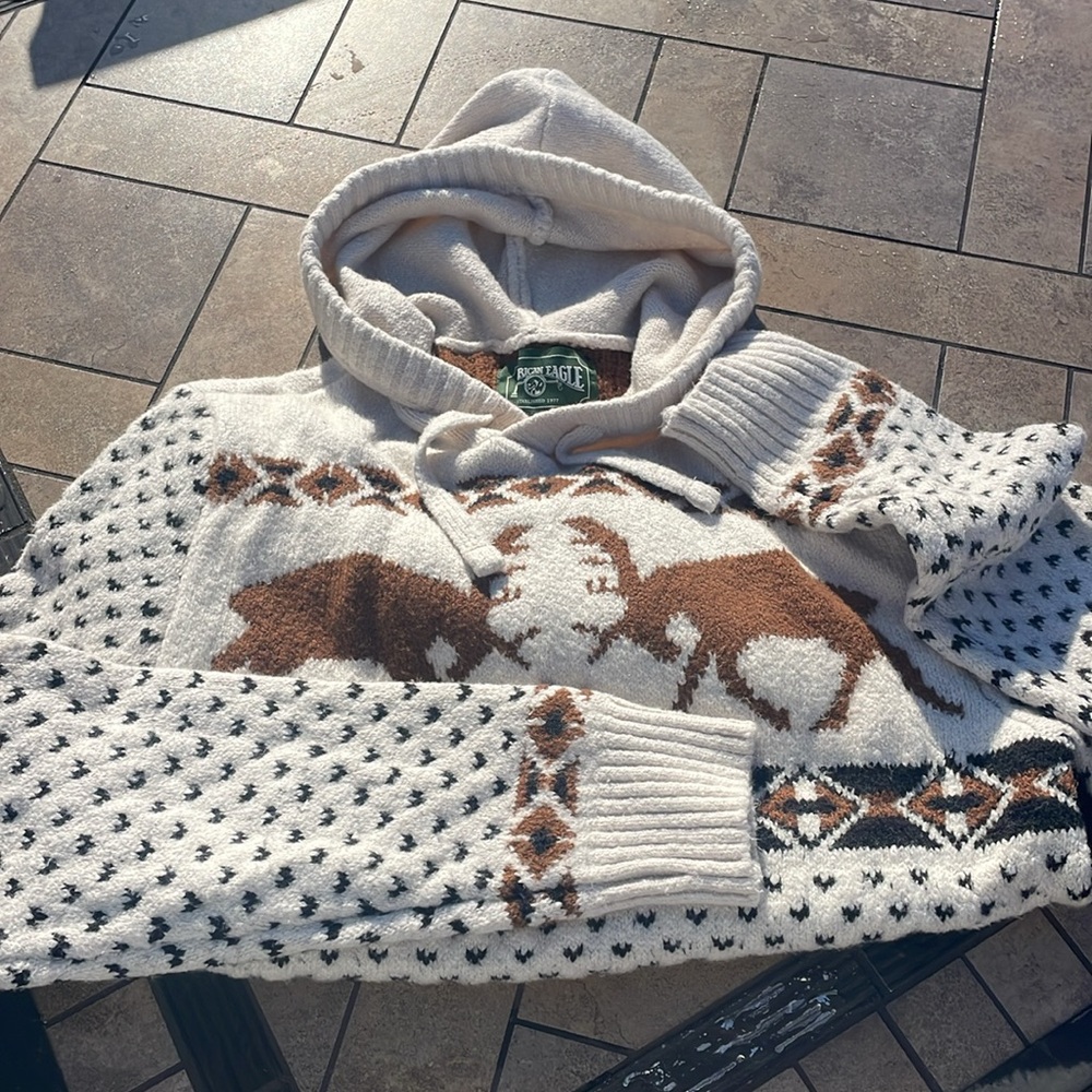 American Eagle Men’s Sweater size M hooded and has front pockets comfortable fit - Picture 3 of 8